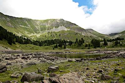 Green Valley Hotel - Artvin Şavşat