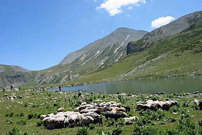 Green Valley Hotel - Artvin Şavşat