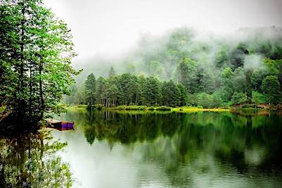 Green Valley Hotel - Artvin Şavşat