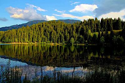 Green Valley Hotel - Artvin Şavşat