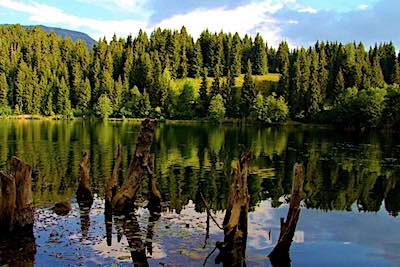 Green Valley Hotel - Artvin Şavşat