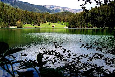 Green Valley Hotel - Artvin Şavşat