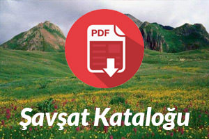 PDF Katalog